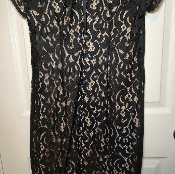 AnnTaylor Loft Size 6 Elegant Dress Women New Years Eve Black Lace Nude Underlay - Picture 5 of 9